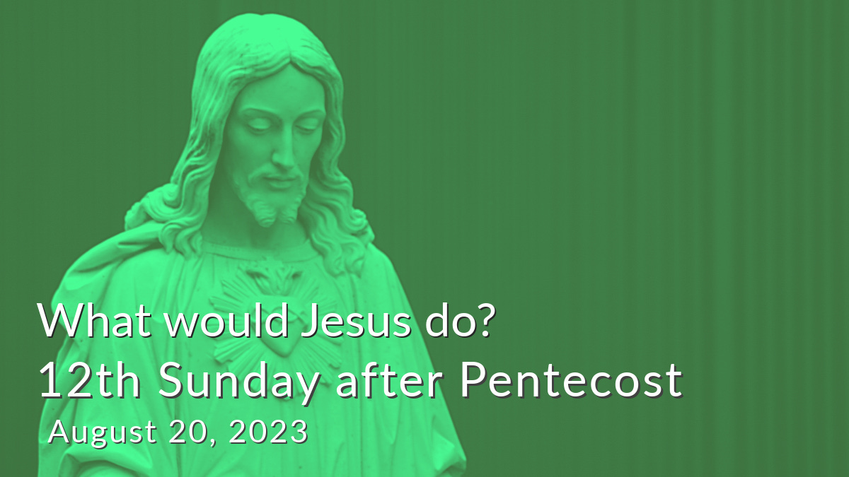 What would Jesus do?