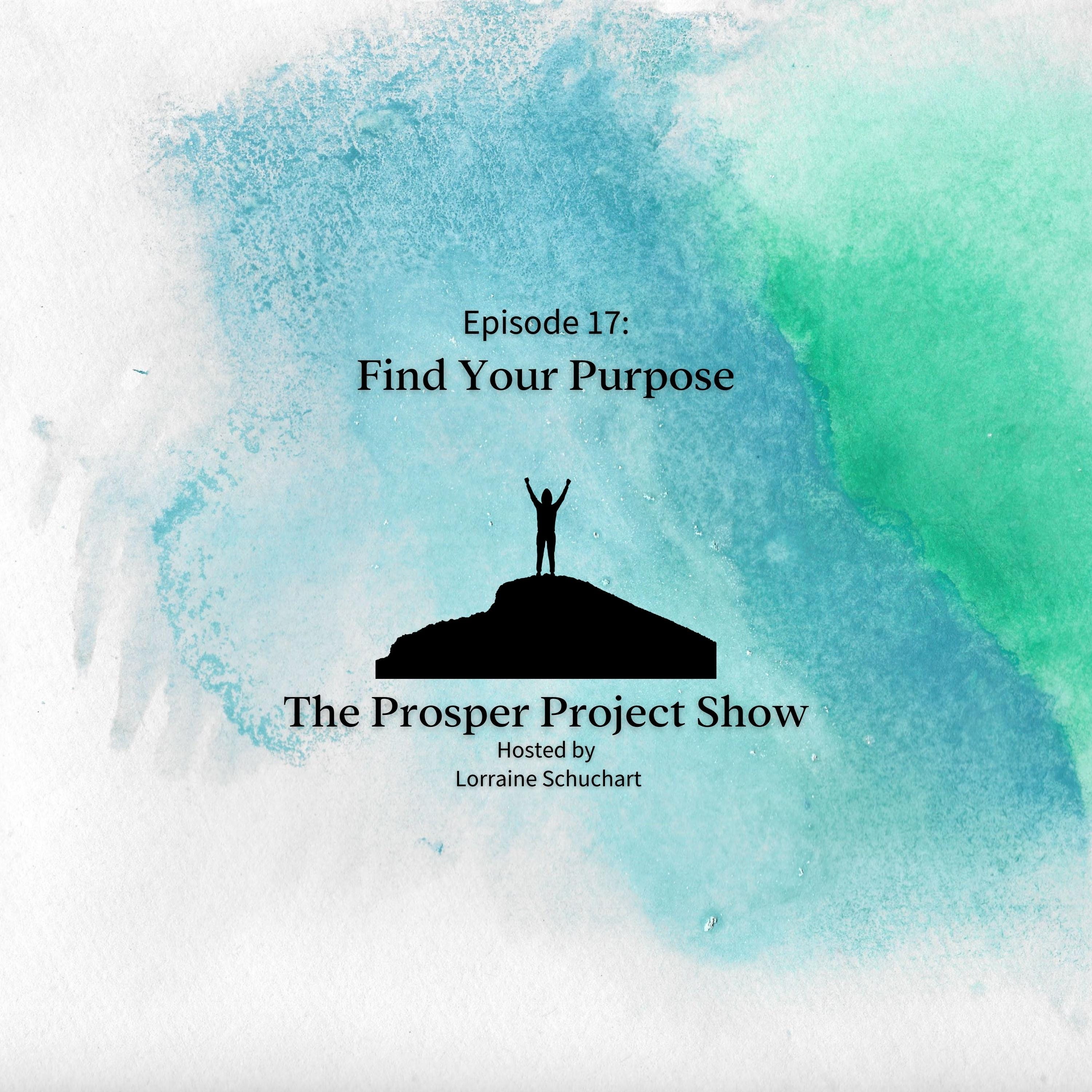 Episode 17: Find Your Purpose episode artwork