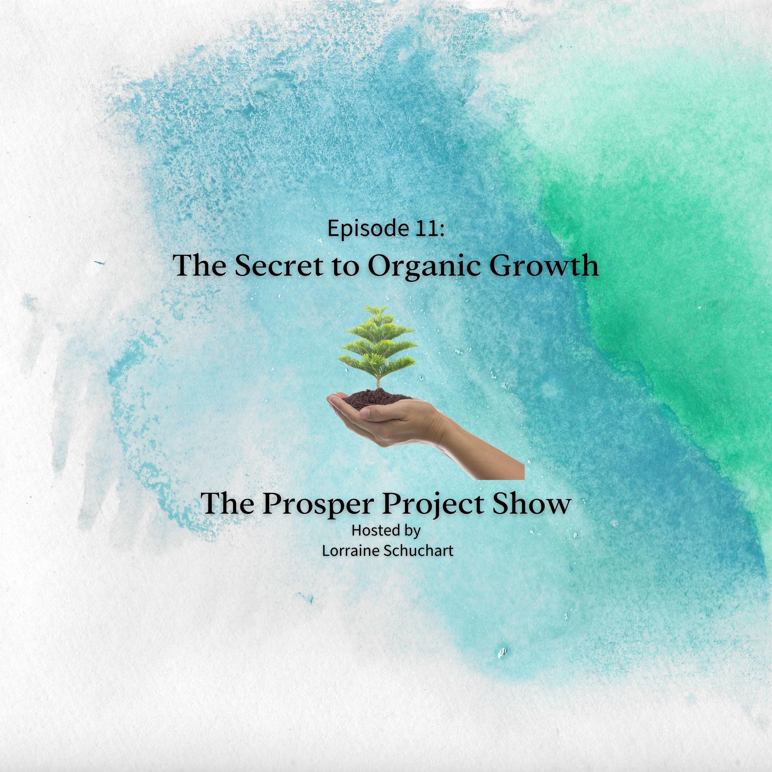 Episode 11: The Secret to Organic Growth episode artwork