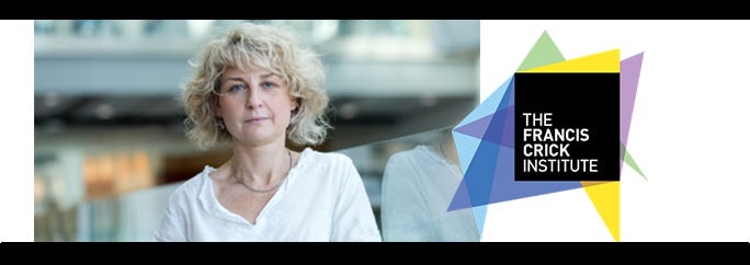 Karine Rizzoti, Francis Crick Institute – Origins of Pituitary Glands Regulating Puberty and ReproductionKarine Rizzoti, Francis Crick Institute – Origins of Pituitary Glands Regulating Puberty and Reproduction Episode cover