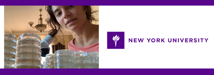 Sophia Tintori, New York University – What Chornobyl’s Worms Teach Us About DNA DamageSophia Tintori, New York University – What Chornobyl’s Worms Teach Us About DNA Damage