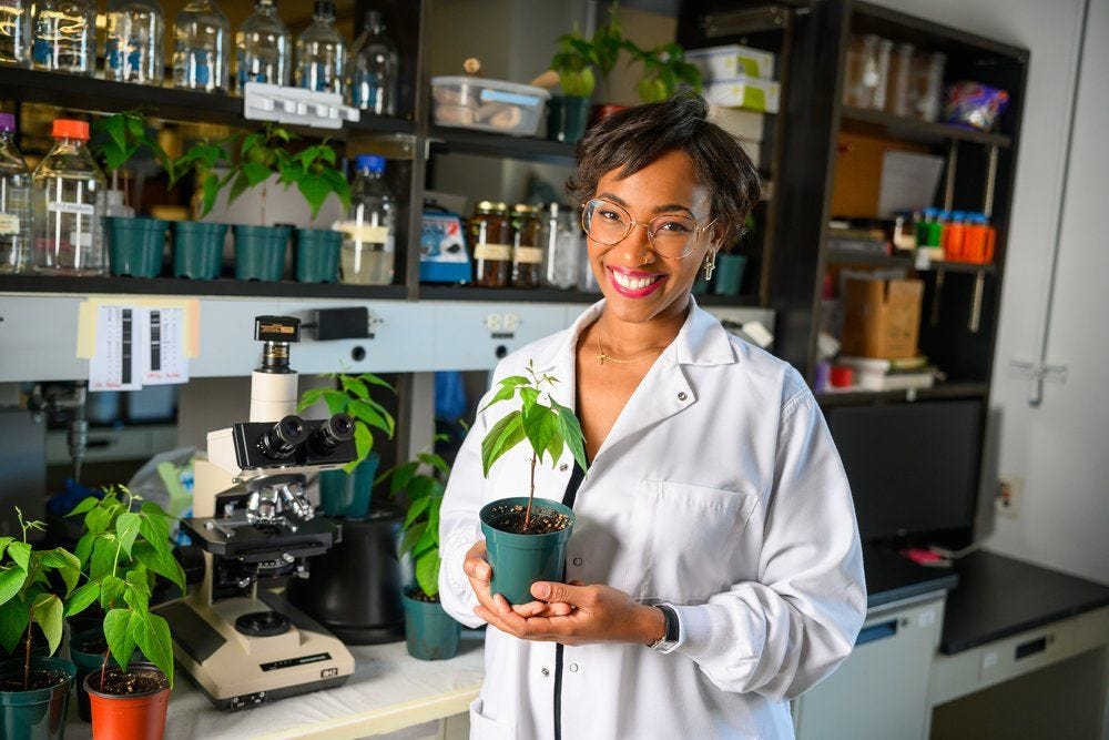 Joyce G. Onyenedum, New York University - How Specialized Cells Help Plants to Climb episode artwork