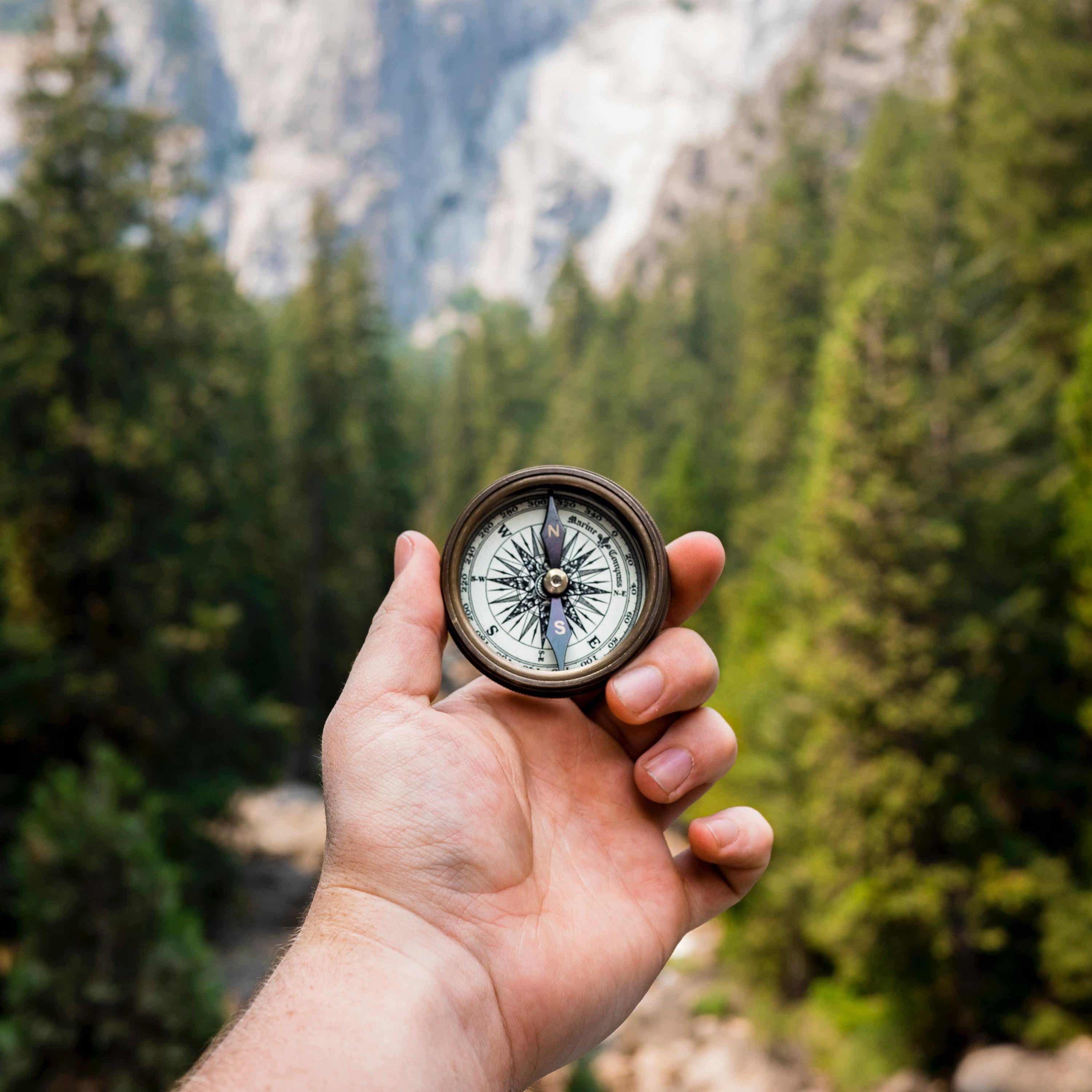 The Study of Purpose