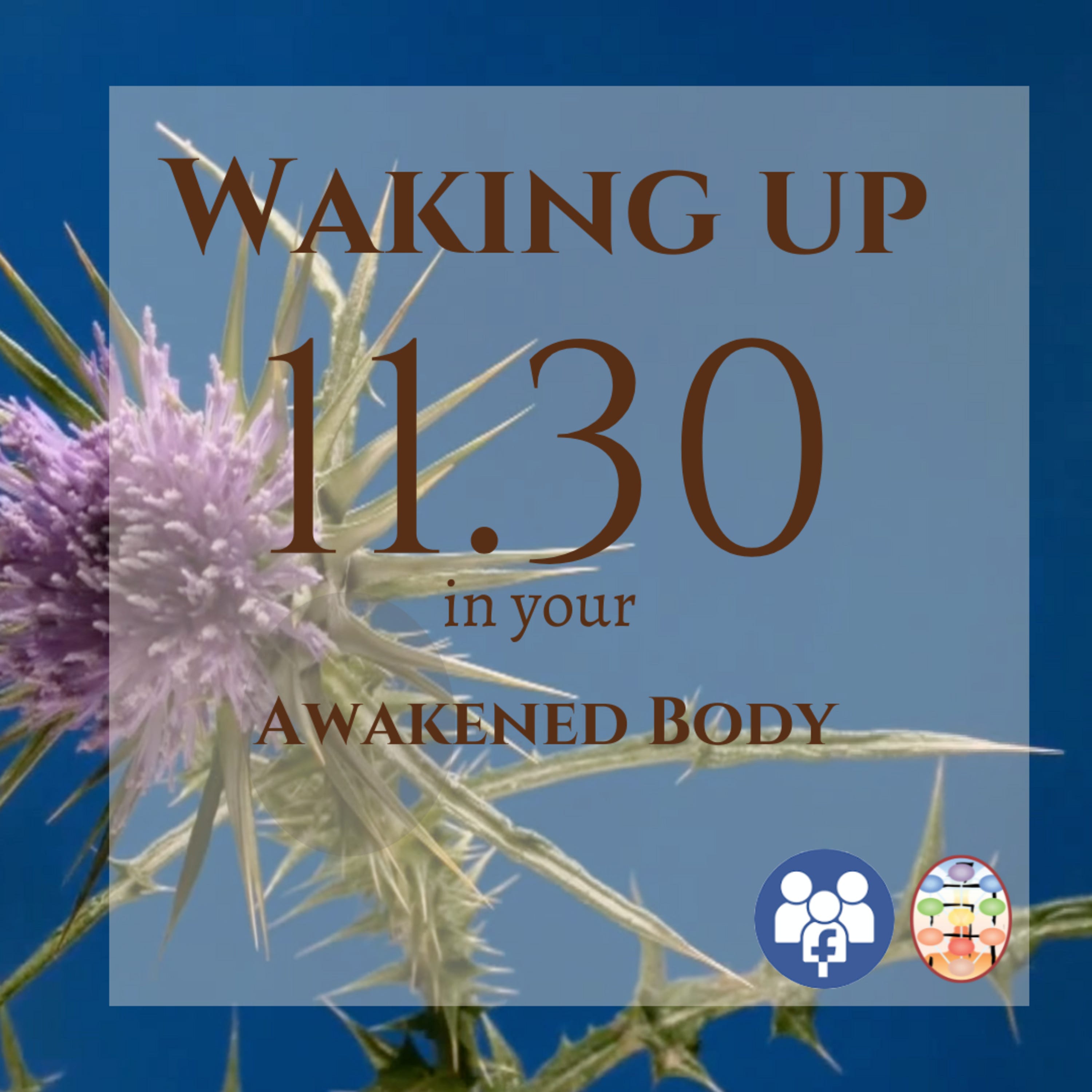 Waking Up into Your Awakened Body on November 30, 2022
