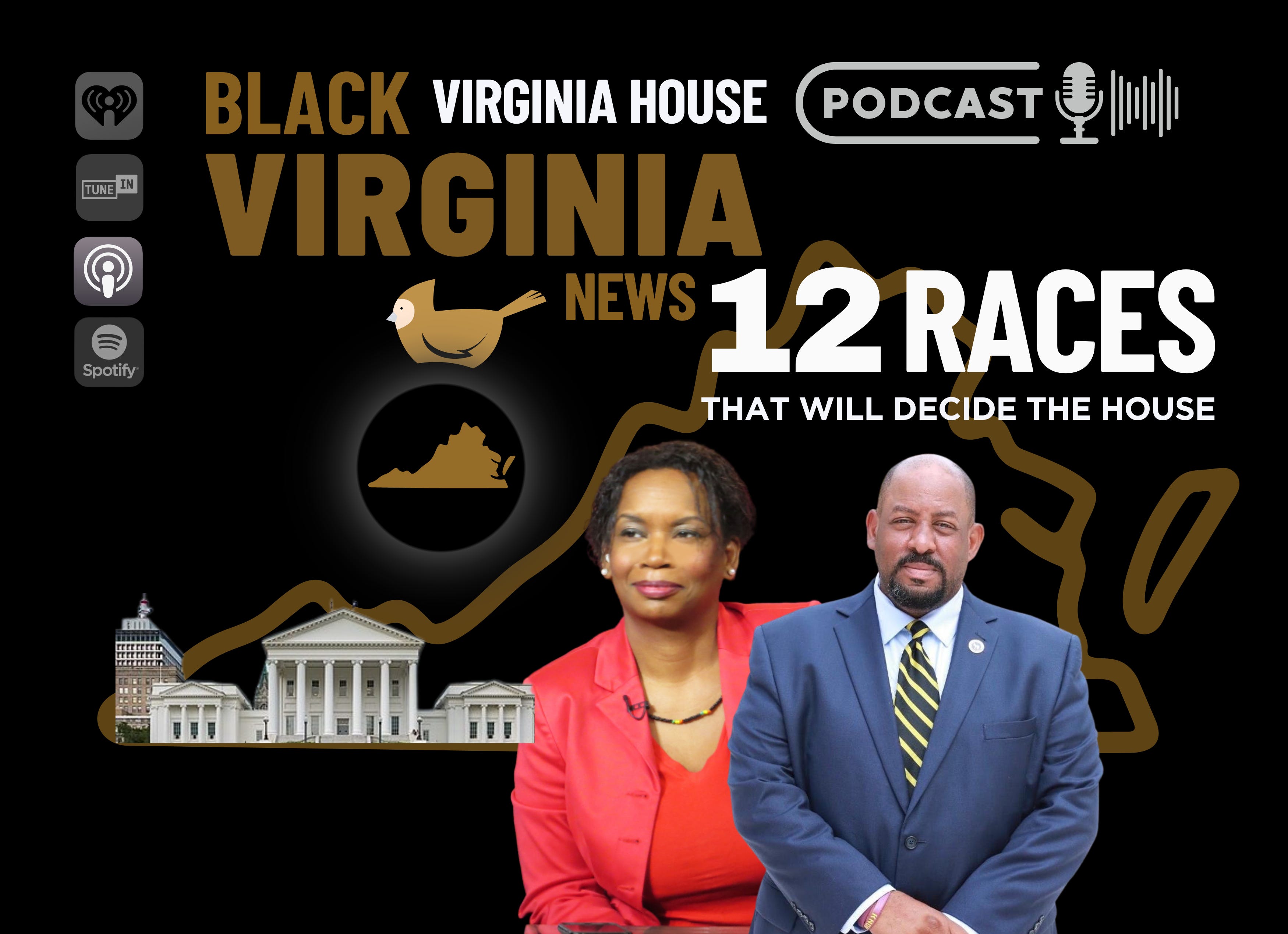 EP12 - 12 Races That Will Decide the Majority in the #Virginia House of Delegates