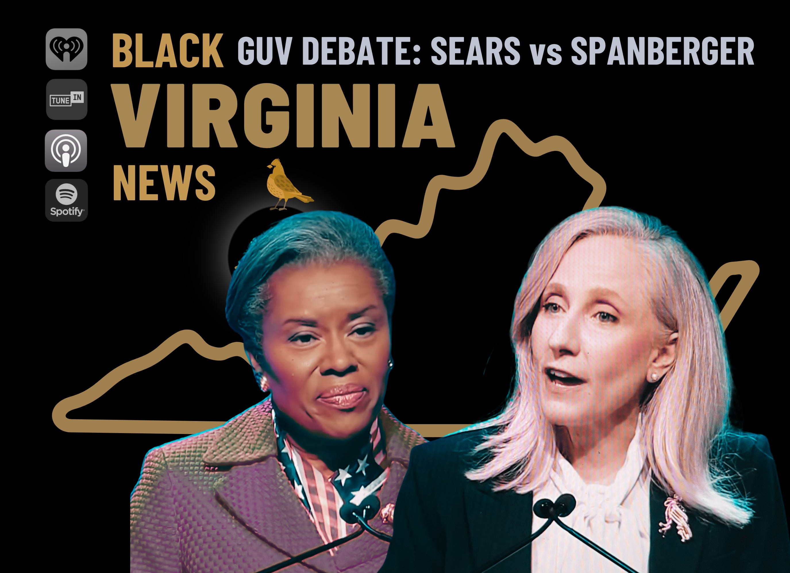BLACK VIRGINIA NEWS