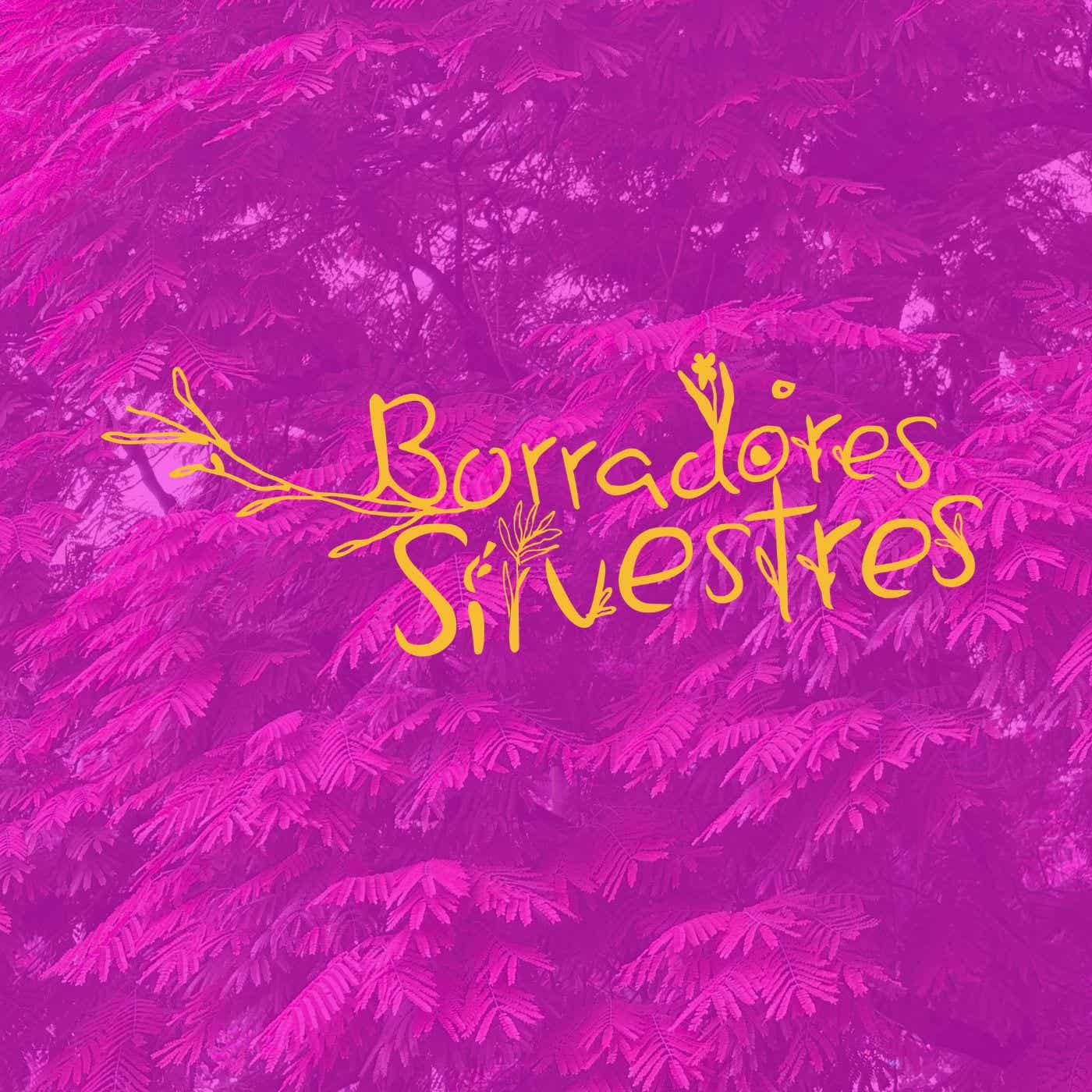 Borradores Silvestres