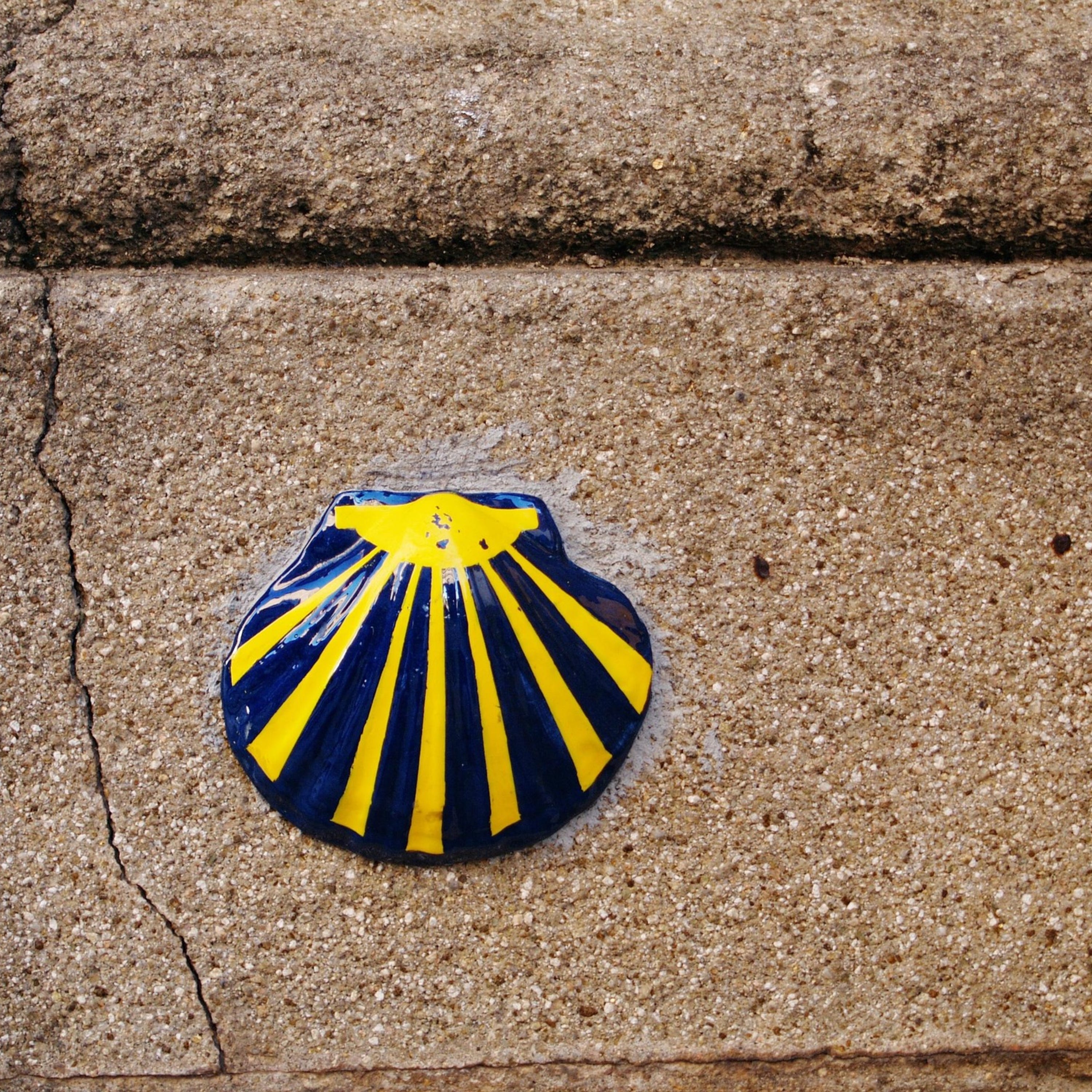 Capítulo 85 - Conversación en el Camino de Santiago 🎙️ - Galicia 🐮, licor café 🥃 y orquestas 🥳 - C1 C2 - Español Real - Descubriendo España 19 🇪🇦