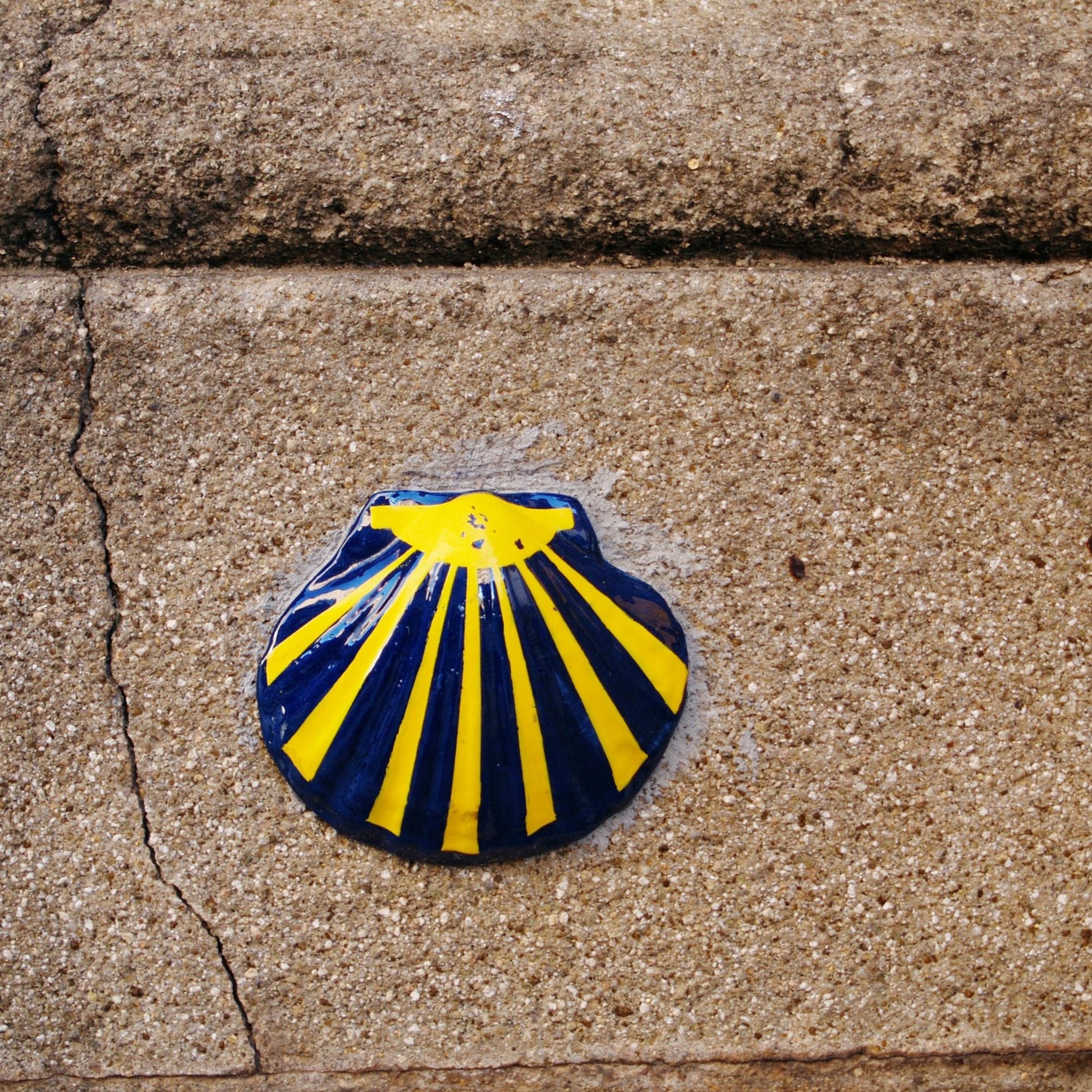 Capítulo 81 - CAMINO DE SANTIAGO 🚶♂️➡️➡️ - Qué es, cómo hacerlo y CONSEJOS para recorrer el camino más famoso de España - Descubriendo España 15 🇪🇦