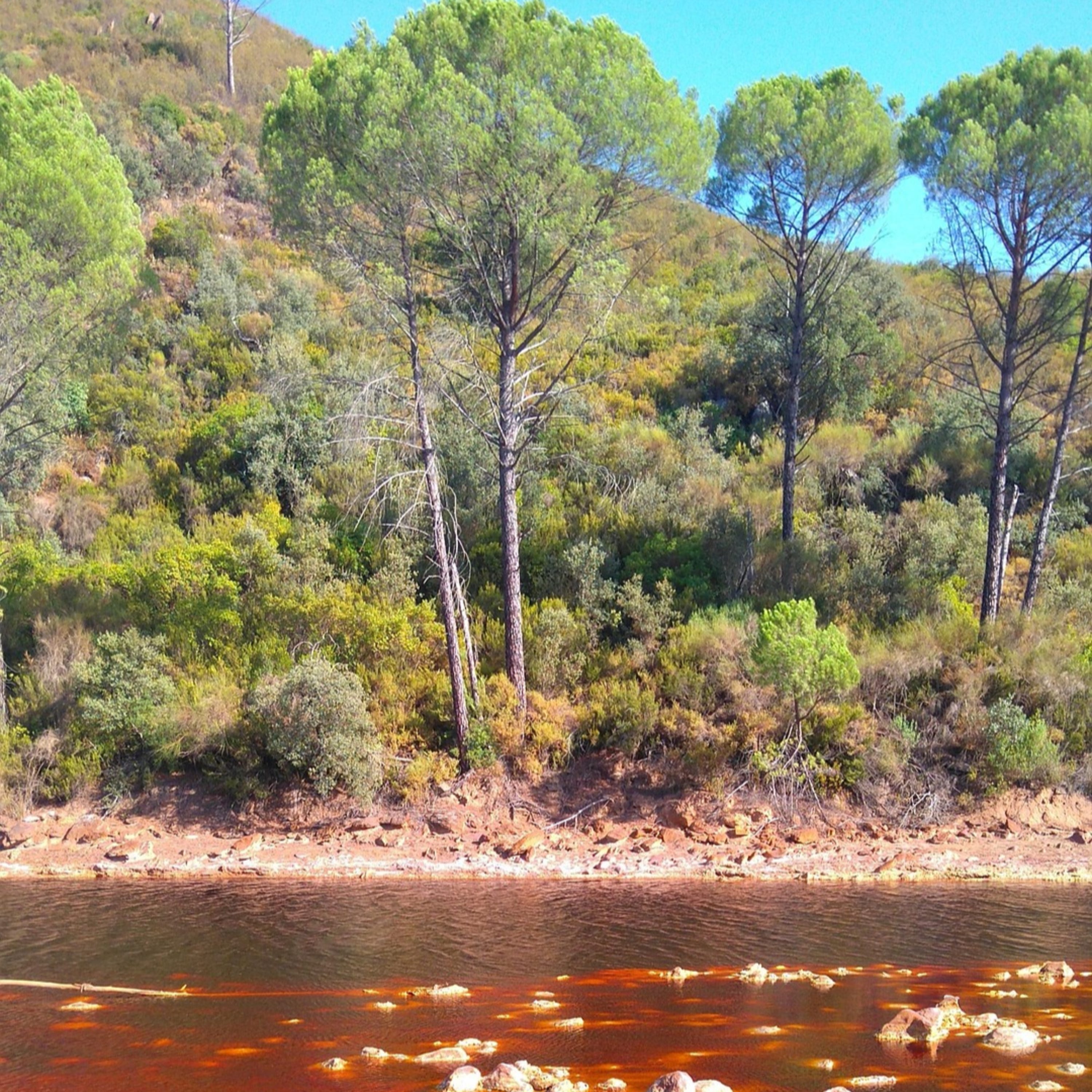 Capítulo 68 - HUELVA - Ríos de sangre, Jamón, Parques Nacionales y Playas infinitas 🐖🌄 - Descubriendo España 4