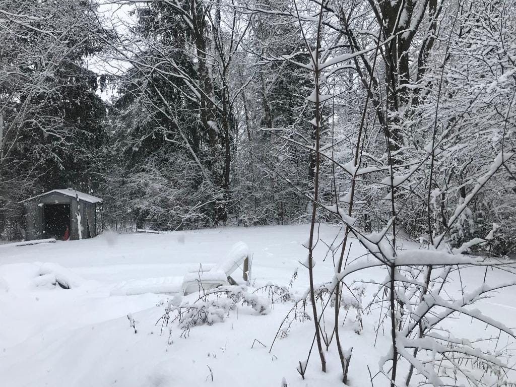 The Narrow Gate Podcast