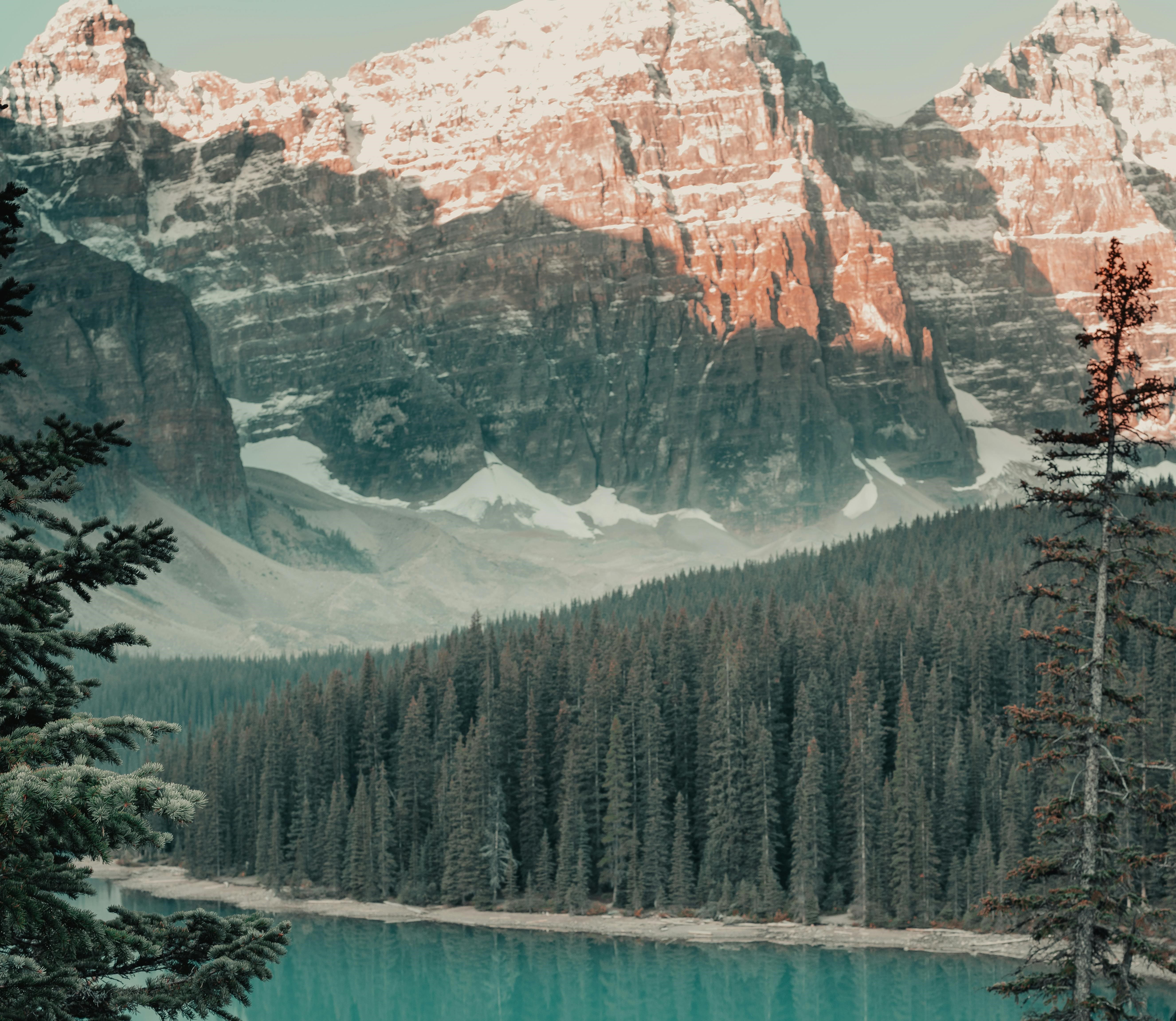 The Narrow Gate Podcast