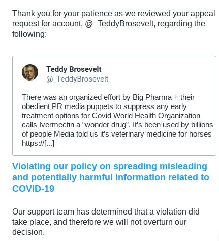Teddy Brosevelt Show | Episode #7 - Got Suspended From Twitter AGAIN for Telling the Truth About Covid-19 episode artwork