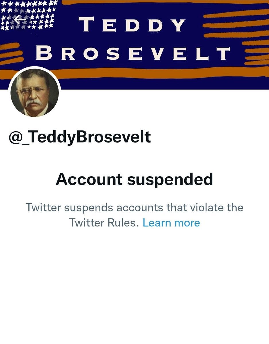 Teddy Brosevelt Show | Episode #20 - Permanently Suspended from Twitter @_teddybrosevelt For Telling the Truth episode artwork