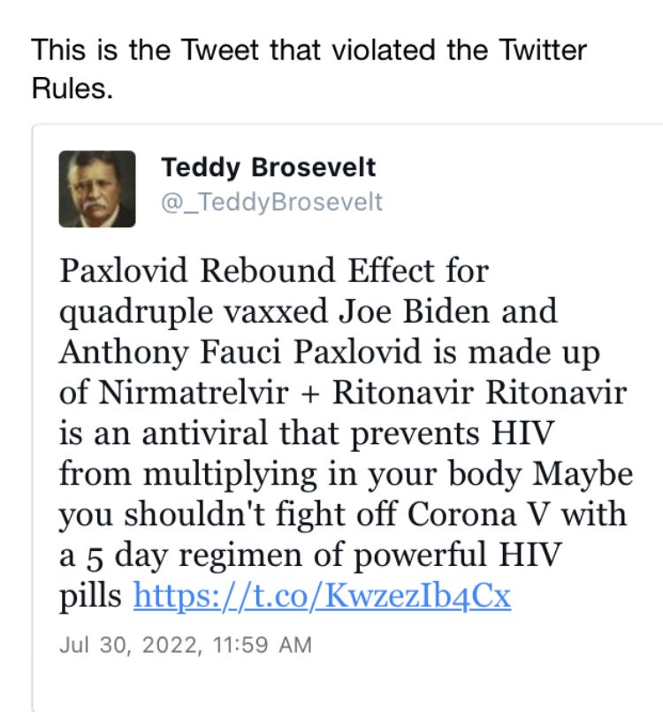 Teddy Brosevelt Show | Episode #21 - Twitter Permanently Bans Teddy, What Happens Next episode artwork