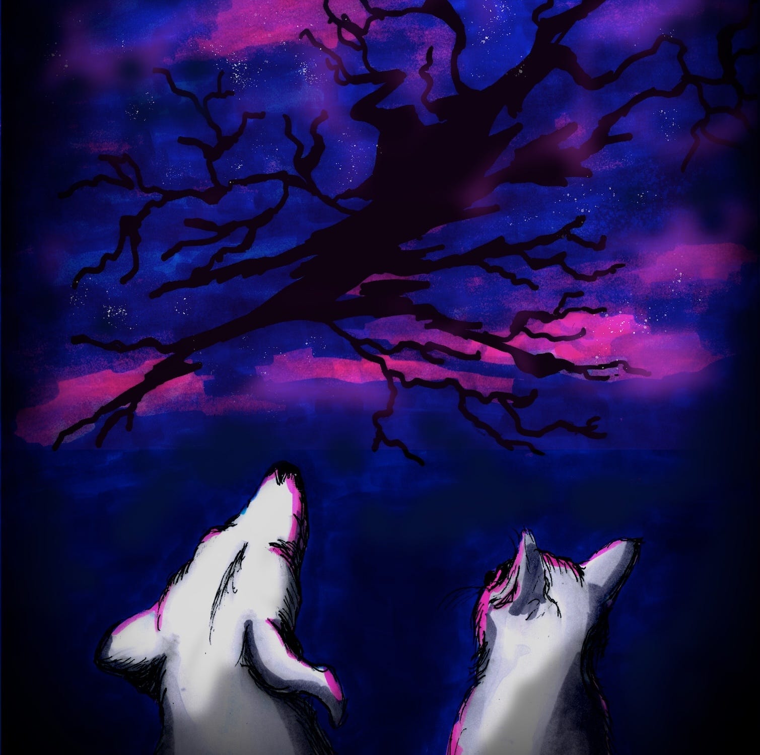 Cosmic Cats and Dogs
