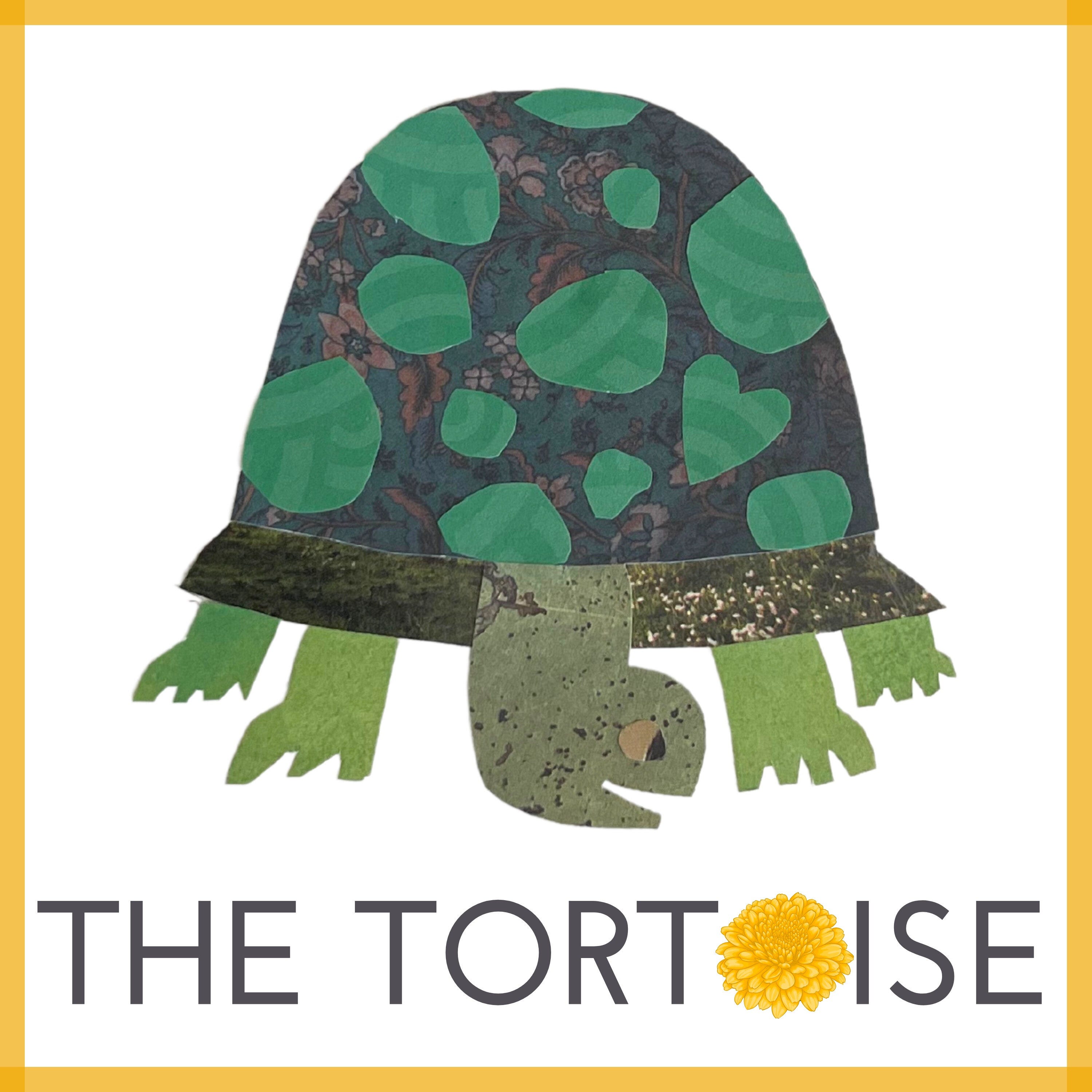 Introducing The Tortoise episode artwork