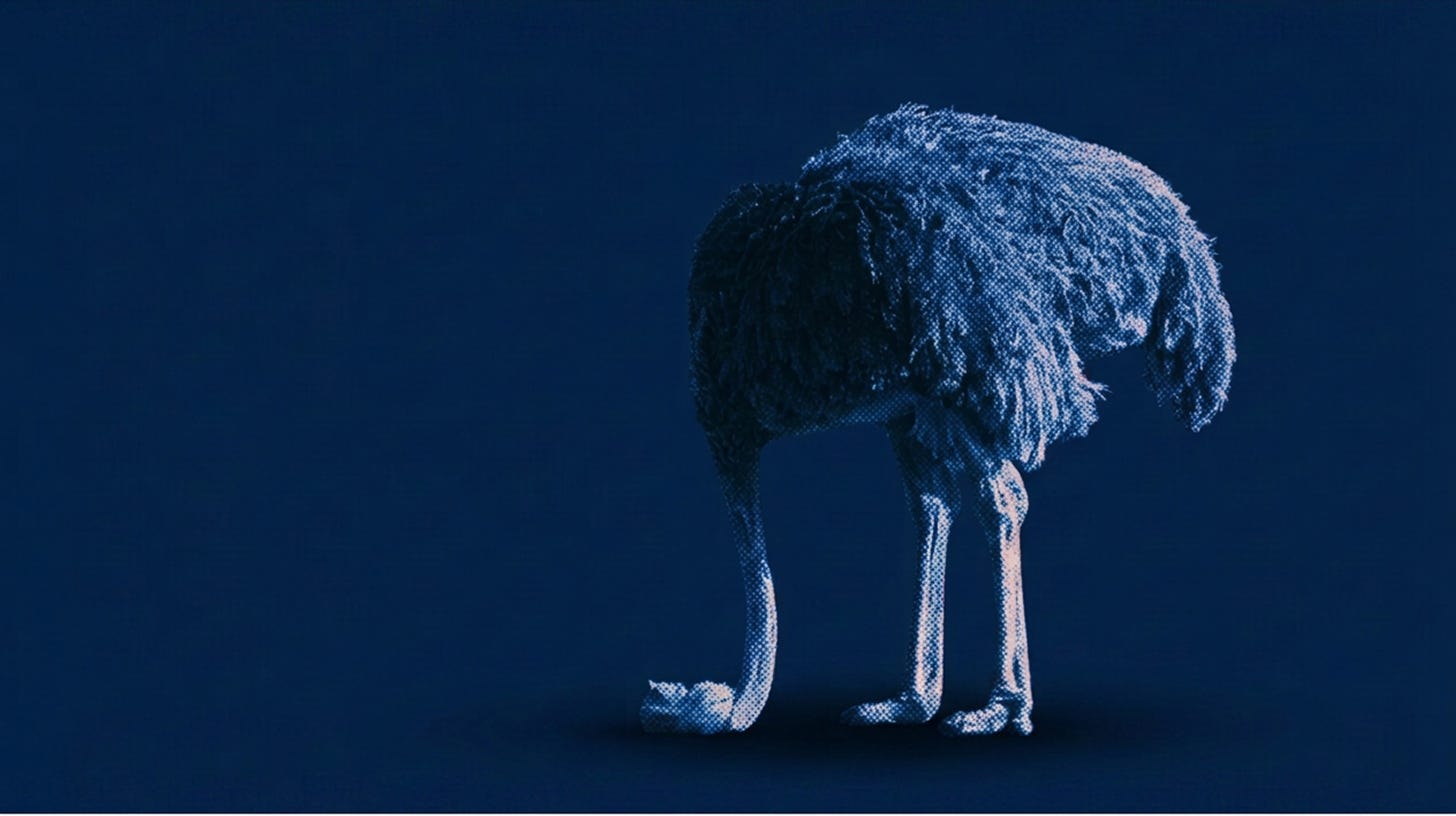 Hiding in Delivery episode artwork