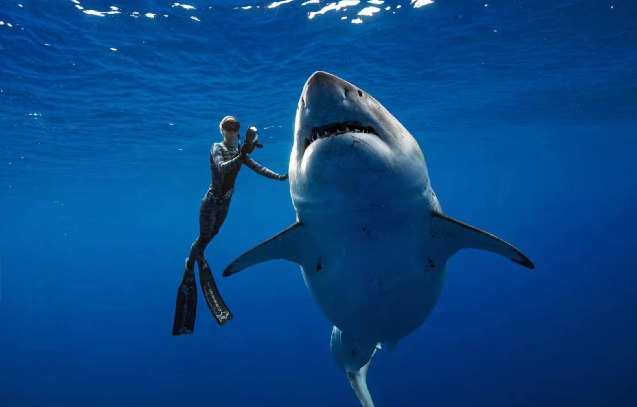 Swimming with Sharks🎧 #678 (May 28)