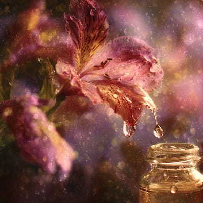 Bach Flowers and Emotional Balance episode artwork