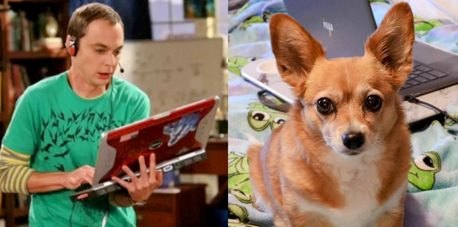 Sheldon and I Feel the Same About Replacing Our Laptops episode artwork