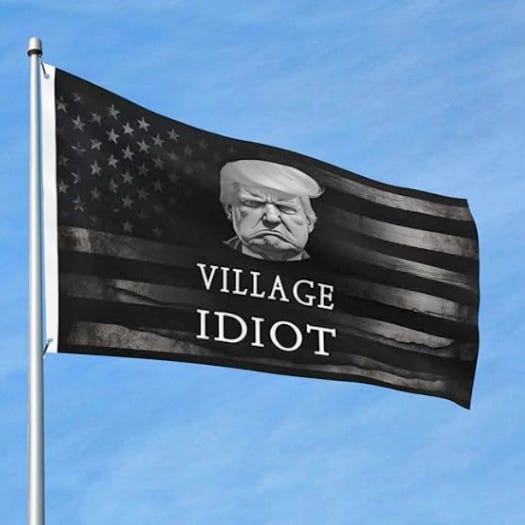 A Fuckwit Like Trump is Not Worth Losing Family Over episode artwork
