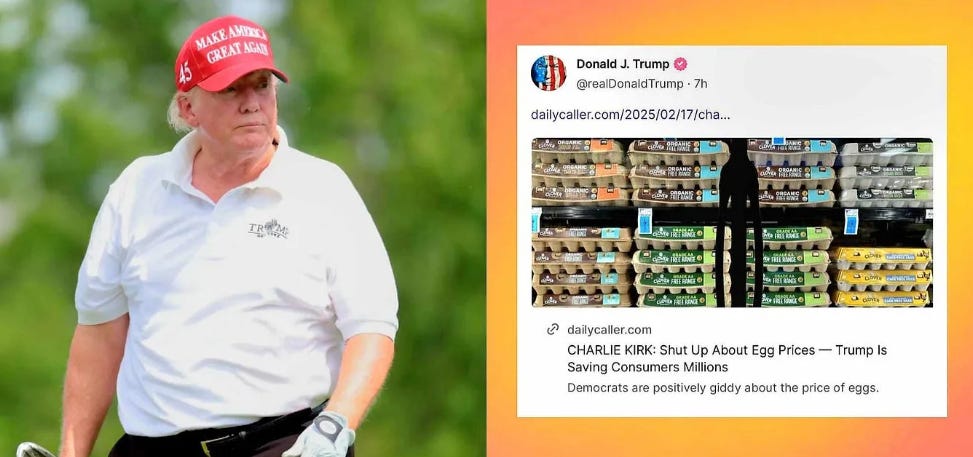 Traitor Trump is Treating Hard-Working Americans Like Dog Shit episode artwork
