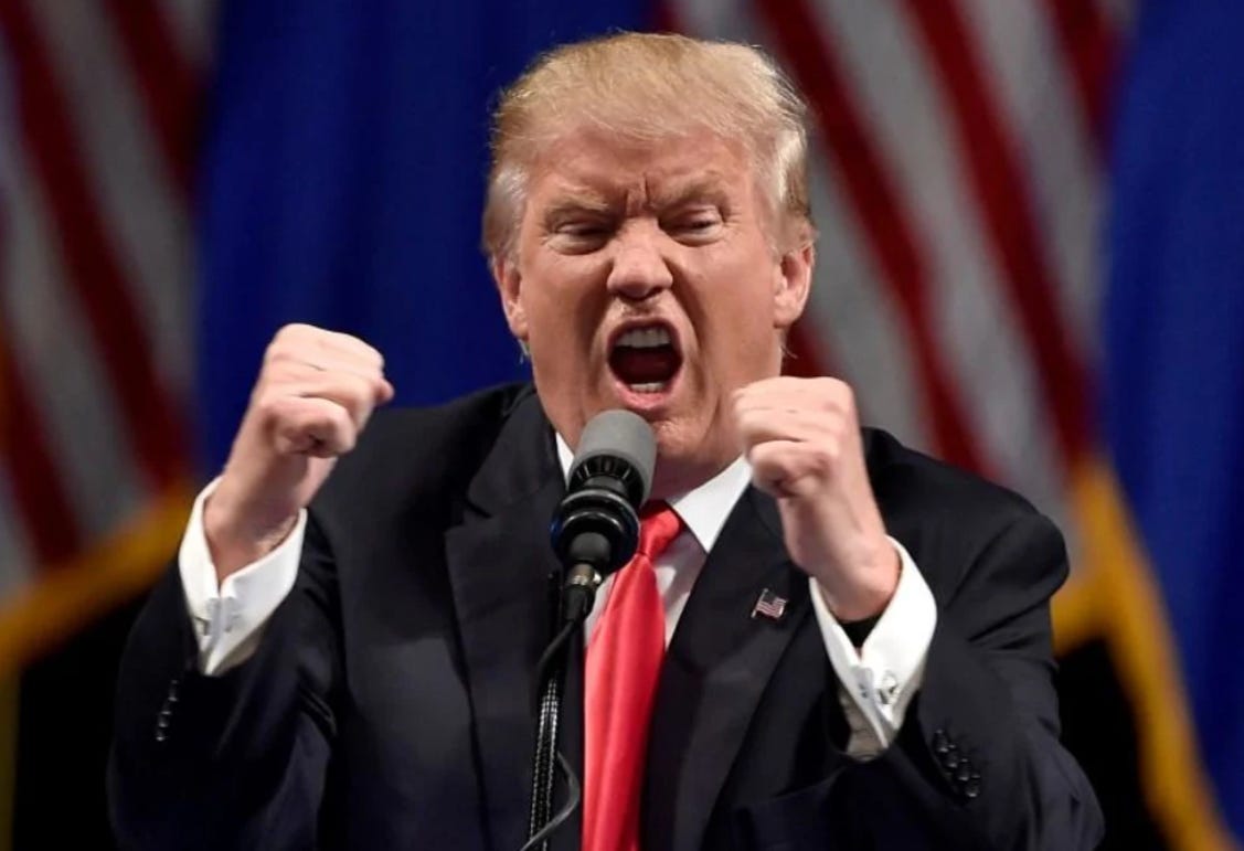 I Refuse to be Bullied By a Shit-Stain Like Donald Trump episode artwork