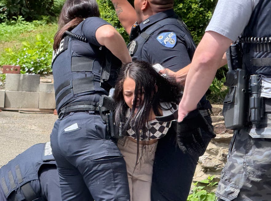 The Domestic Terrorist Group ICE is Ruining Mother's Day episode artwork