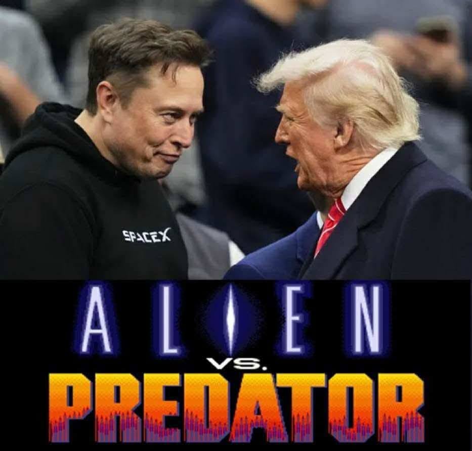 Donald and Elon's Junior High-Level Breakup episode artwork