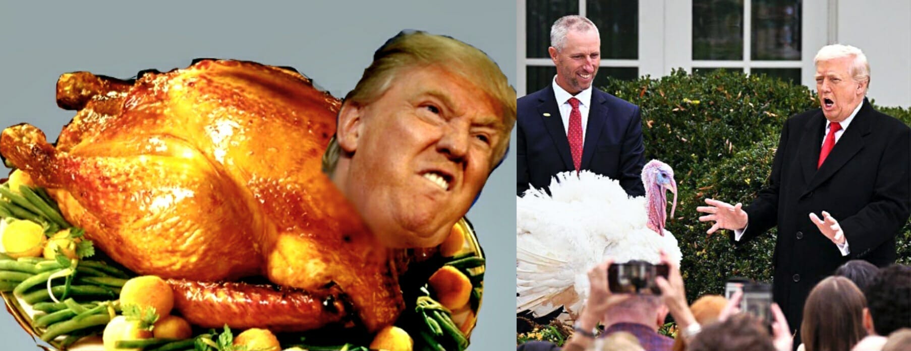 To the Ones Trump Said, "FUCK YOU" to on Thanksgiving episode artwork