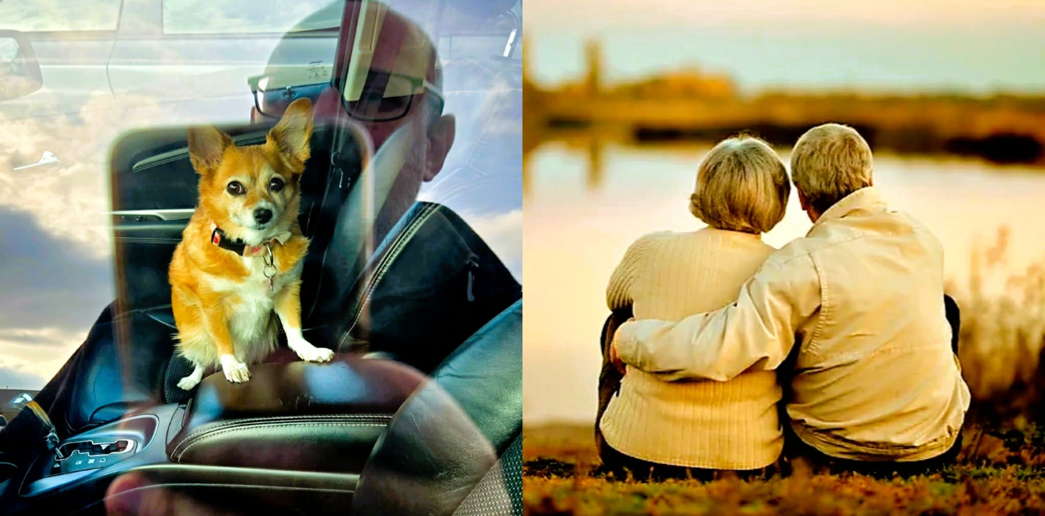 Aging in a Country That Doesn't Care About the Elderly episode artwork