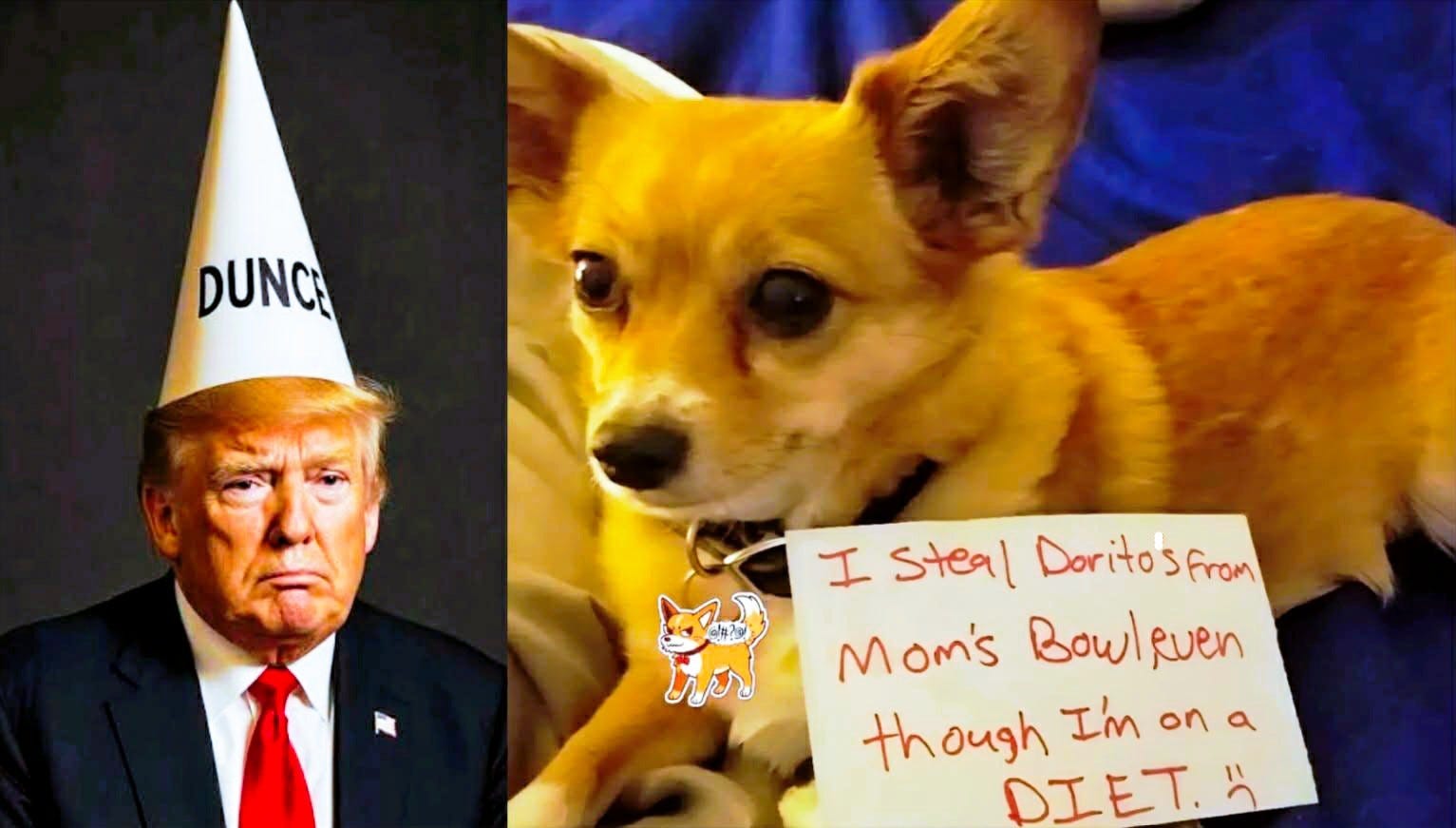 Mooch Needs Some Continuing Education Training episode artwork