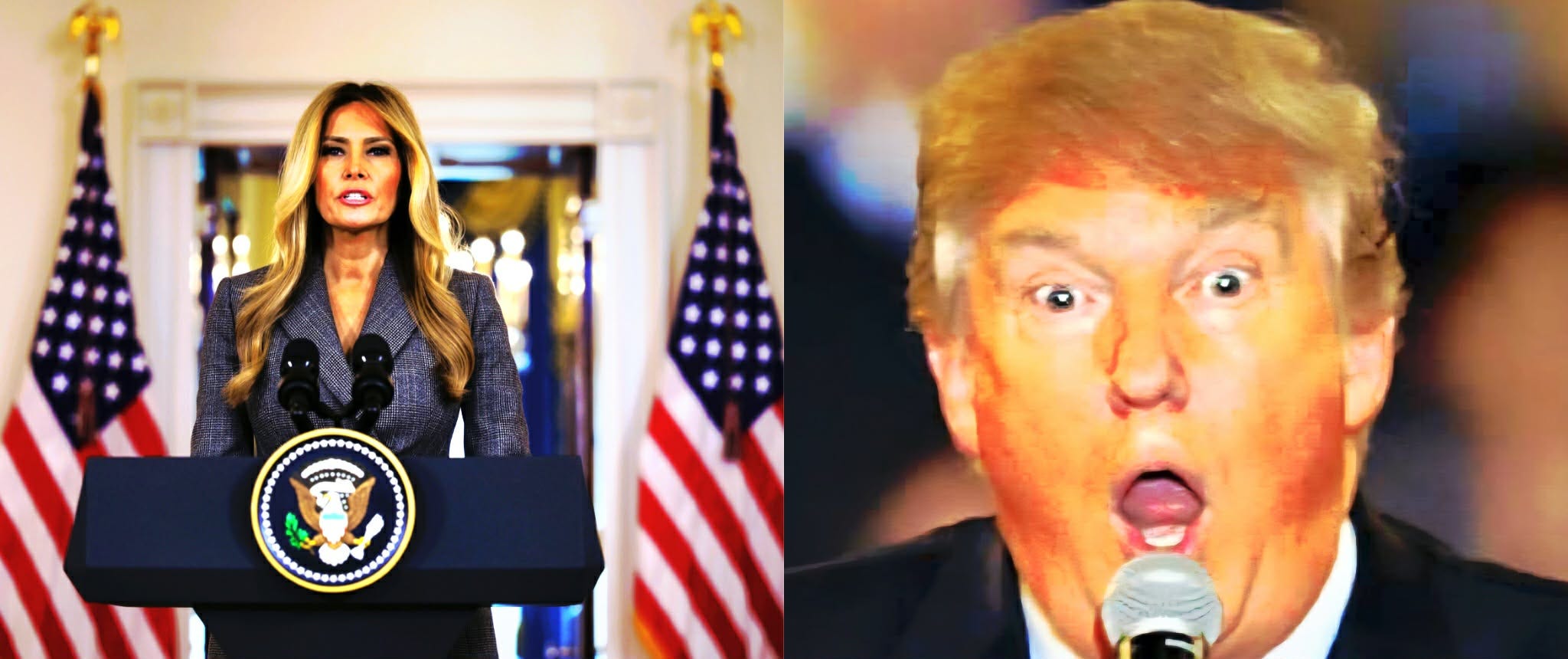 Melania Rats Out Donald and Looks Guilty as Fuck episode artwork