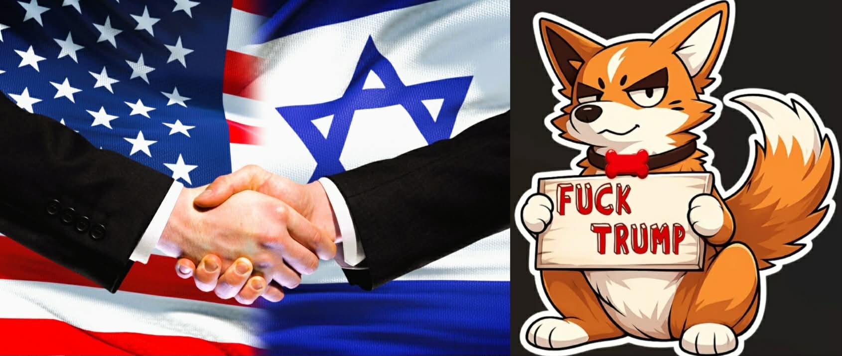 Israel and the United States are Terrorist Nations episode artwork