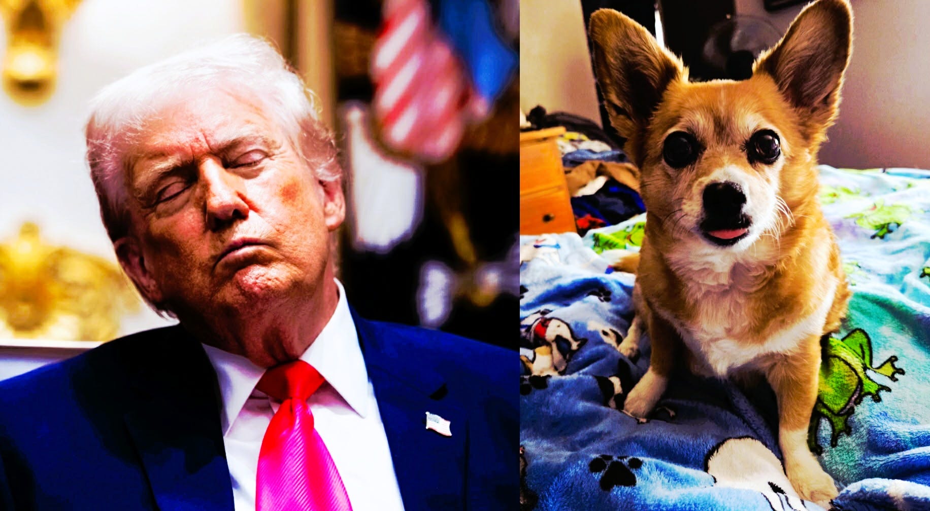 If Mooch Dies Before Trump, I'm Gonna Be Fucking Pissed episode artwork