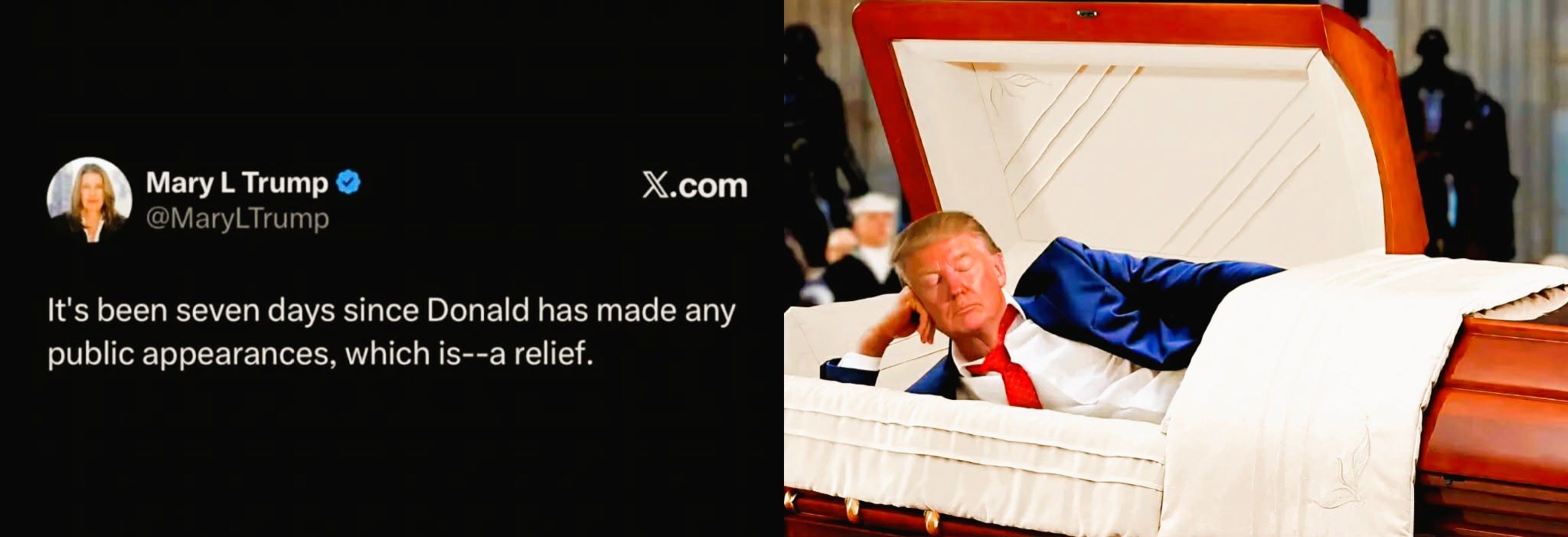 Traitor Trump Has Been Missing for a Week Now episode artwork