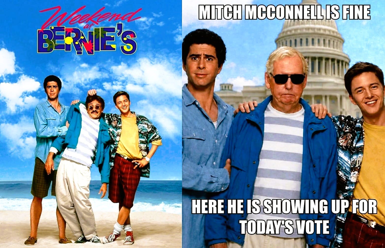 Brain-Dead Mitch McConnell is Being Kept Alive for Politcal Reasons episode artwork