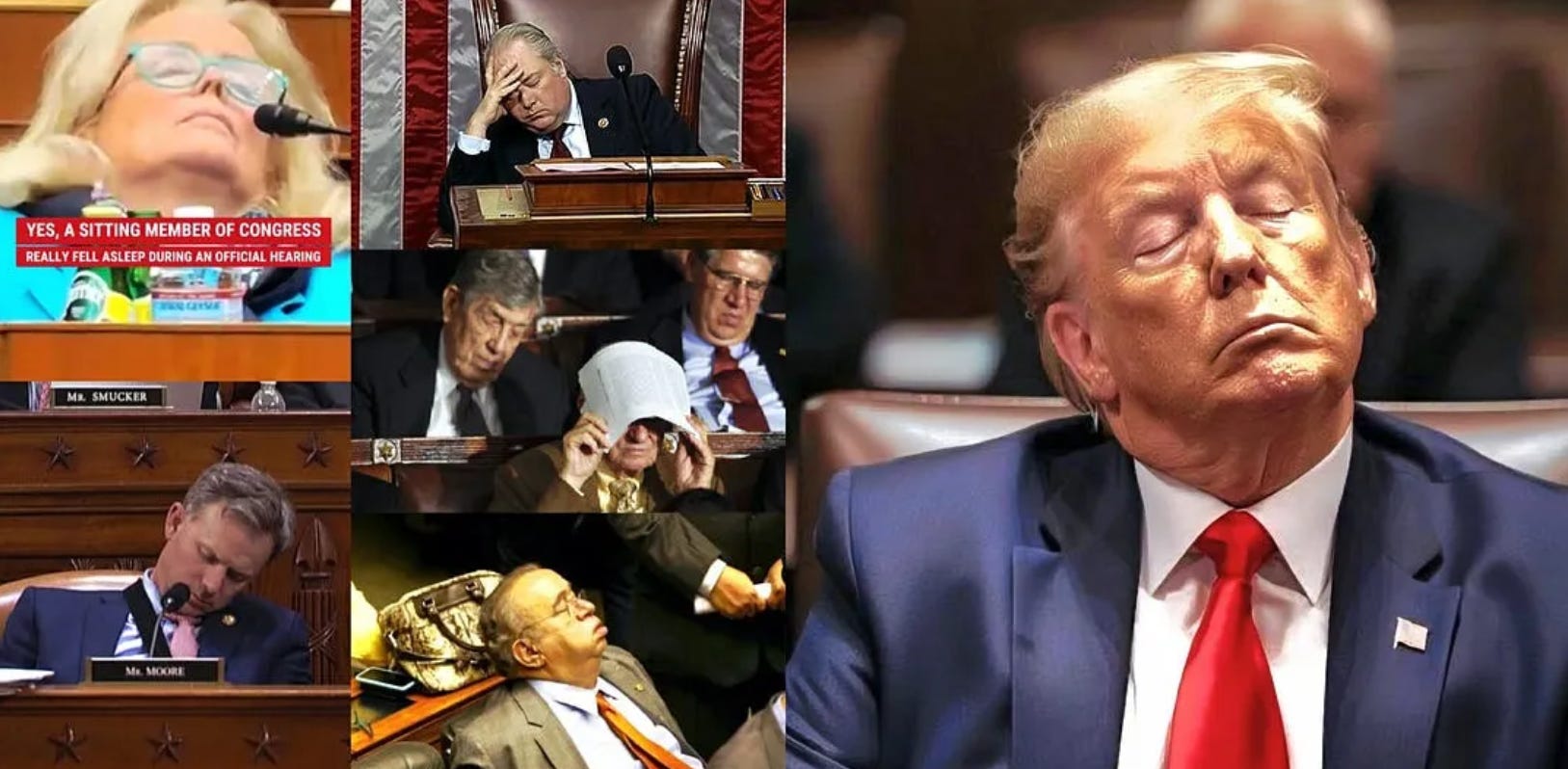 What in the Fuck Van Winkle is Going on With Congress? episode artwork