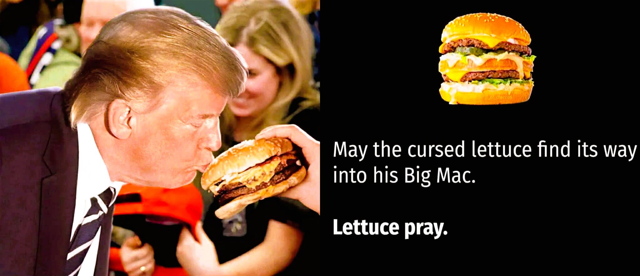 May the 2026 Diarrrhea Lettuce End This Trump Nightmare episode artwork