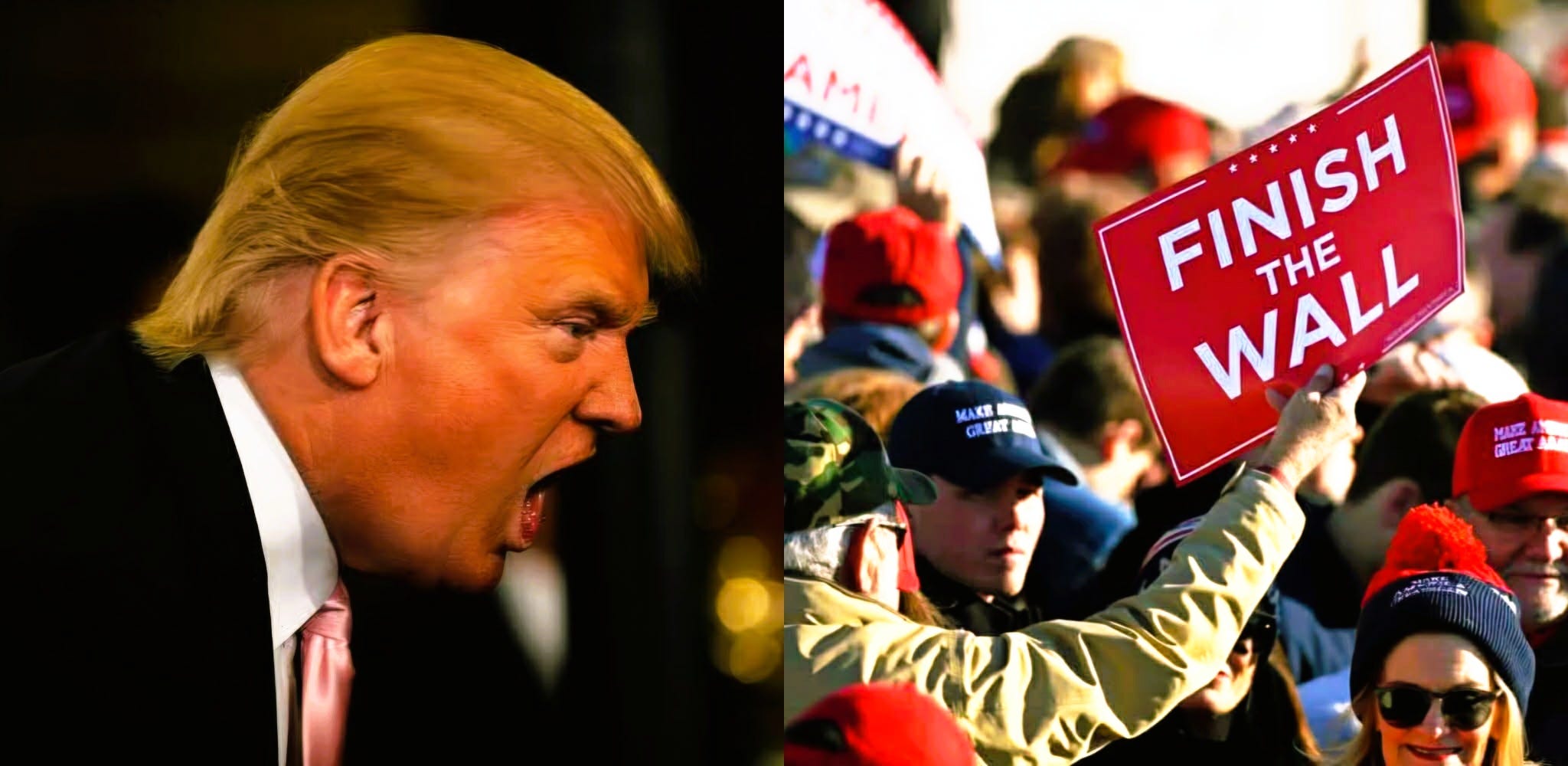 Trump's Fear and Racism Fuel MAGA's Utter Stupidity episode artwork