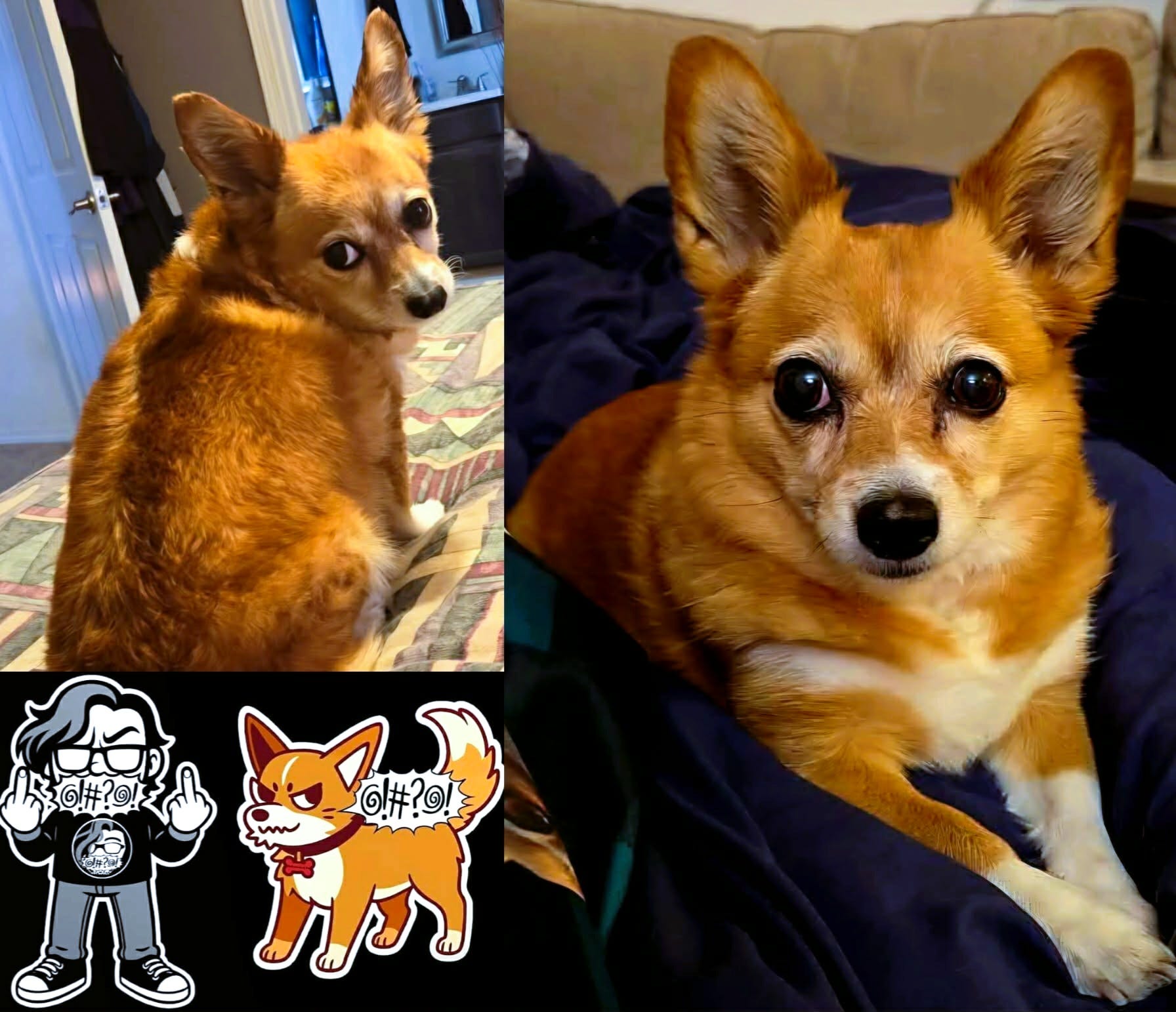 I Decided to Interview Mooch for Today’s Podcast episode artwork