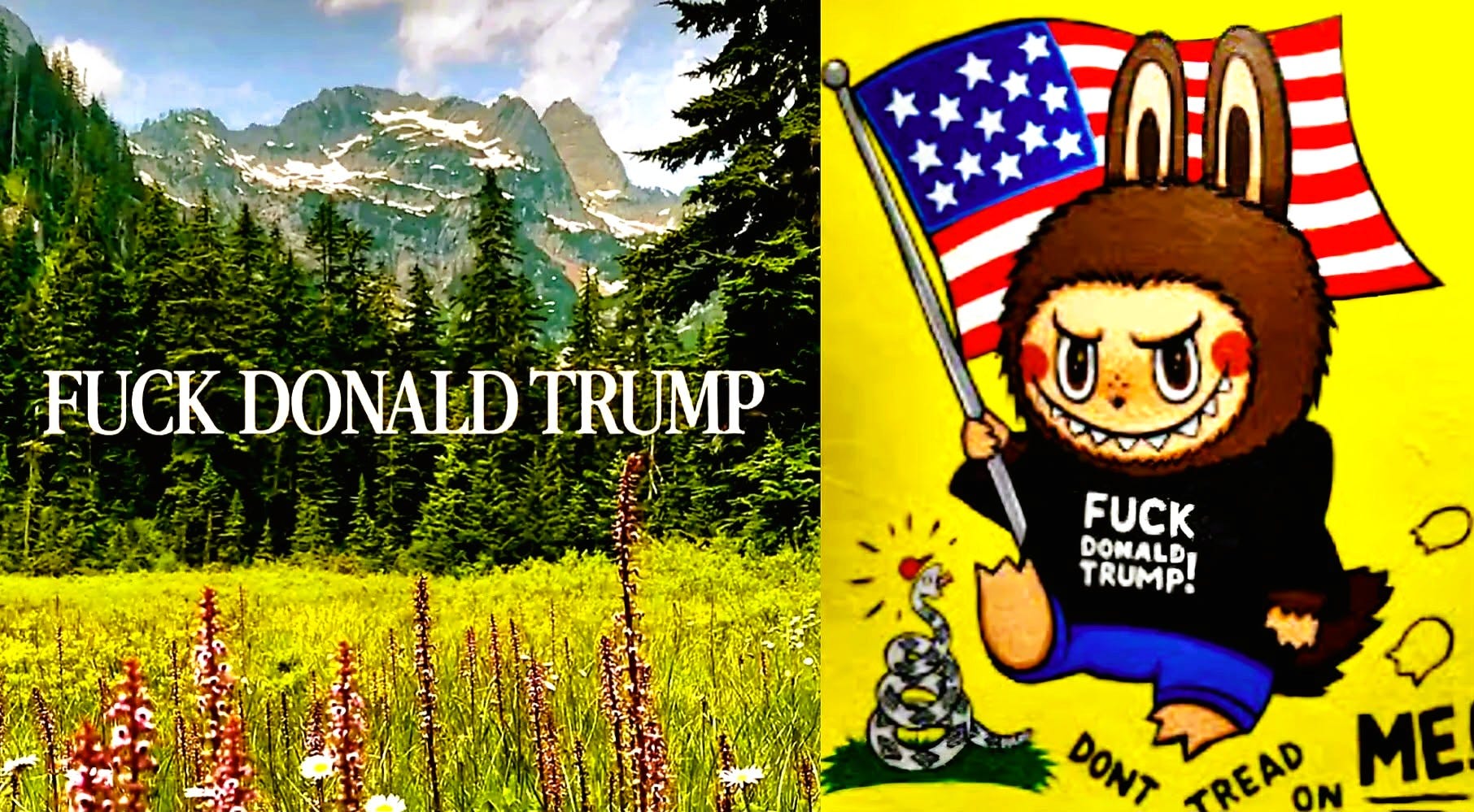 Fuck That Lying Piece of Gaslighting Shit, Traitor Trump episode artwork