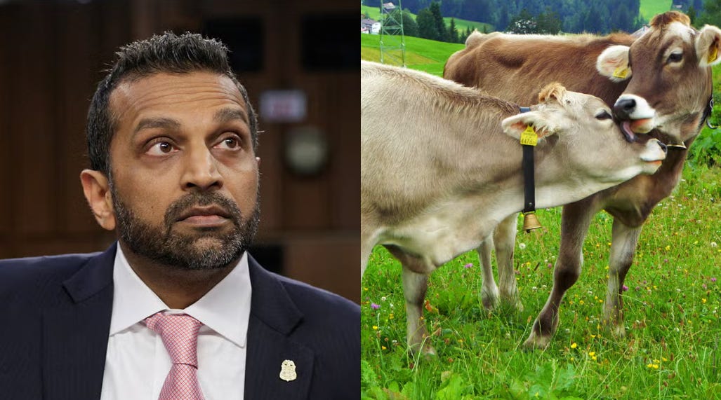 Kash Patel Decides Beastiality is Just Fine for FBI Applicants