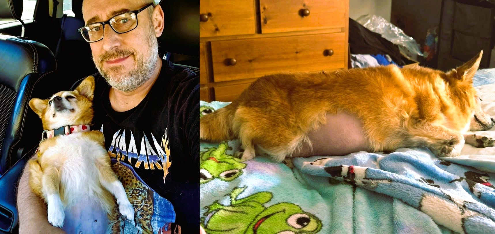 Mooch’s Vet Visit: A New Tumor and a Disease