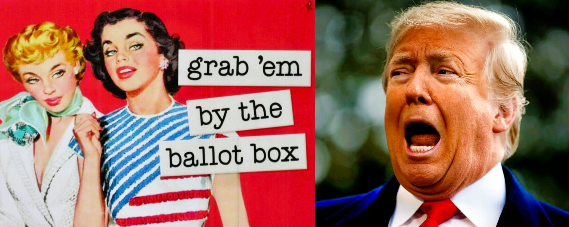 A Badass Sign That We’ll Vote for Our Fucking Lives