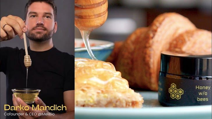 Darko Mandich - Cofounder & CEO @MeliBio