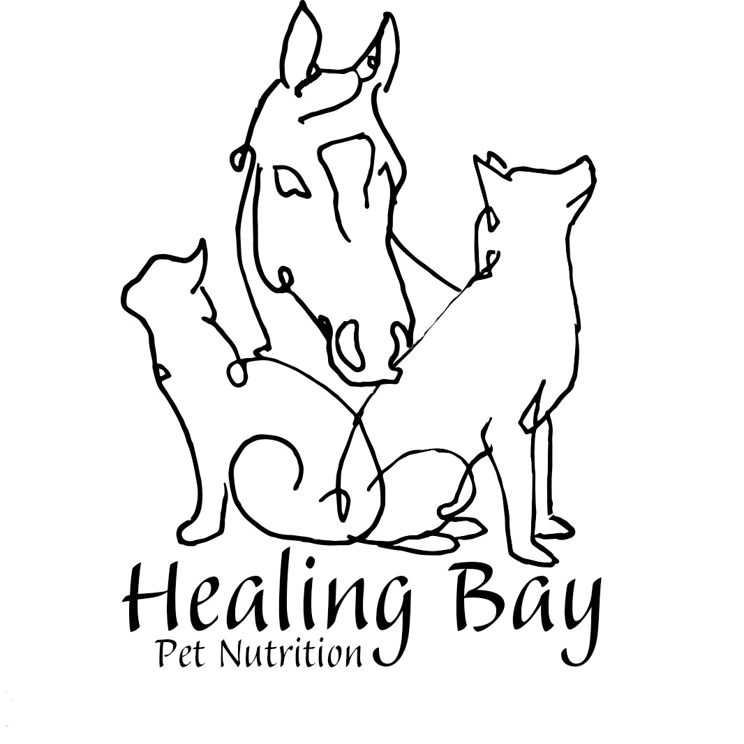 Healing Your Pet Episode #1 Healing Your Pet Episode #1