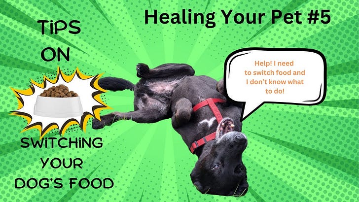 Healing Your Pet #5: How to Switch Your Dog's Food! Healing Your Pet #5: How to Switch Your Dog's Food!