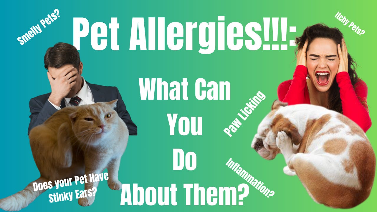 Does Your Pet Have Allergies, or Sensitivities?: Here's What YOU Can Do About It! Pets| Nutrition Does Your Pet Have Allergies, or Sensitivities?: Here's What YOU Can Do About It! Pets| Nutrition